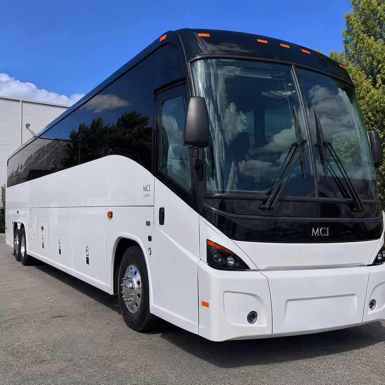 one search for your chino group trip